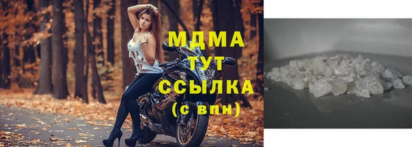 прущие грибы Беломорск
