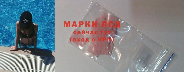 прущие грибы Беломорск
