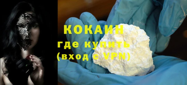 прущие грибы Беломорск