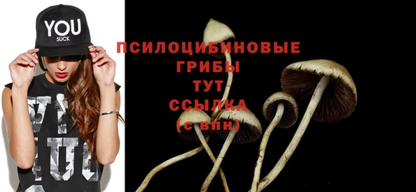 а пвп мука Белокуриха