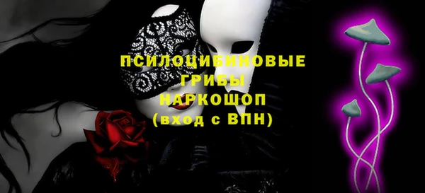 прущие грибы Беломорск