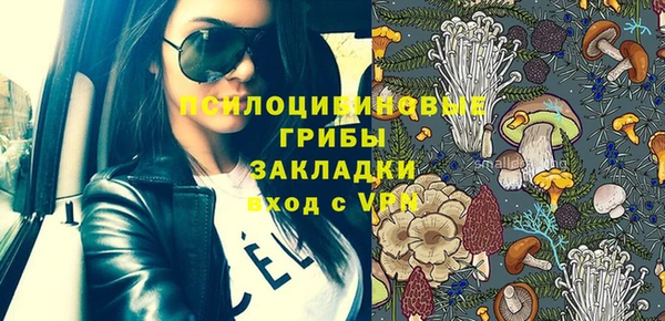ПСИЛОЦИБИНОВЫЕ ГРИБЫ Балахна