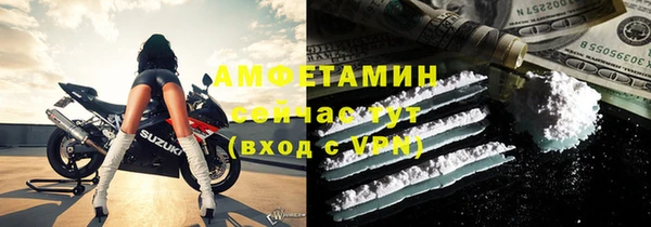 прущие грибы Беломорск