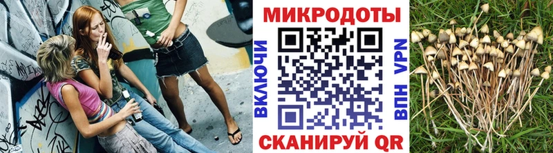 Галлюциногенные грибы Cubensis  Торопец 
